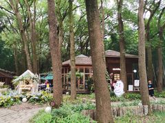 -同里国家湿地公园