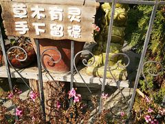 -梧桐山风景名胜区