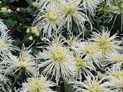 -上海大学（宝山校区）-图书馆