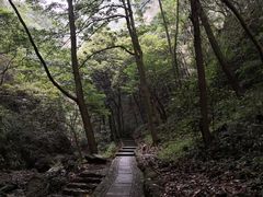 -兴福禅寺