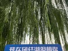 -团结湖公园