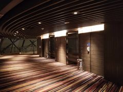 -上海滴水湖皇冠假日酒店