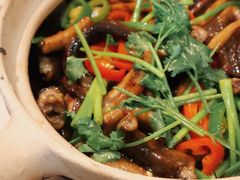 啫啫黄鳝-飞尝蚝·顺德菜·鱼生(顺德总店)