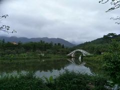 -田野绿世界