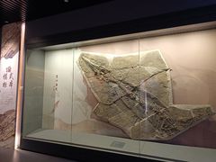 -贵州省地质博物馆