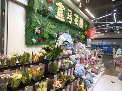 -盒马鲜生(红莲店)