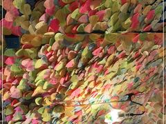 -阿信厚吐司(曾厝垵店)