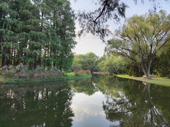 -上海共青森林公园