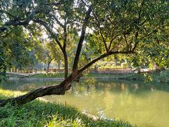 -晓港公园