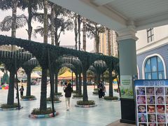 -海合安成都极地海洋公园