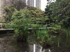 -成都市活水公园