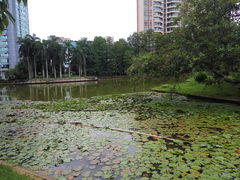 景点-四海公园(南山区)