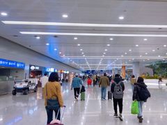 -上海浦东国际机场-T2航站楼