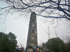 -上海佘山国家森林公园天马山园