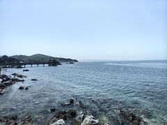 -养马岛旅游度假区