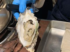 -乐咖啡西餐厅(太湖皇冠假日酒店)