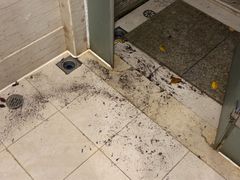 -三亚亚龙湾铂尔曼别墅度假酒店