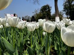 -玄武湖景区-情侣园游乐场