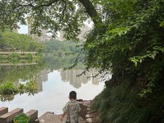 -重庆彩云湖湿地公园