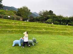 -云禾壹海景庄园餐厅