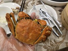 -新兴家喻酒家·羊城名宴(昌岗店)