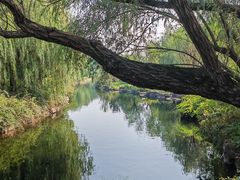 -上海滨江森林公园