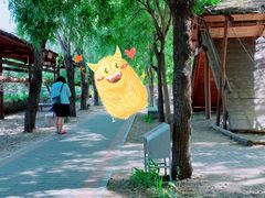 -河北村民俗体验园