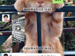 -瑞派宠物医院(锦江店)
