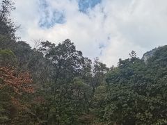 -大慈岩风景区