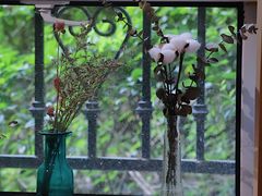 -COTTON CAFE(德信·中外公寓店)