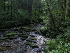 -汤旺河林海奇石景区
