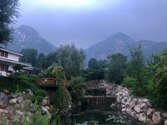 -禅宗少林·音乐大典