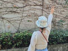 -青龙山国家森林公园