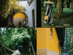 -西园寺