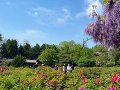 -晋祠公园