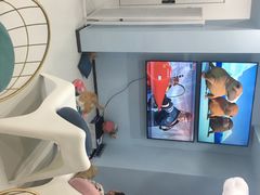 -糯米喵星人·撸猫猫舍咖啡馆(西市场嘉华店)