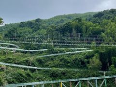 -长沙黑麋峰国家森林公园