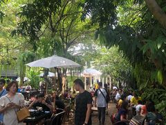 -Fern Forest Cafe