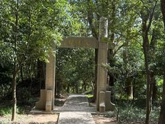 -上海佘山国家森林公园天马山园