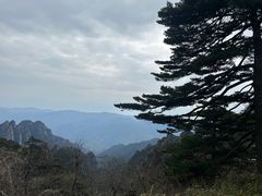 -黄山风景区
