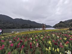 -广州市石门国家森林公园
