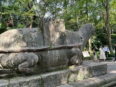 -灵谷景区
