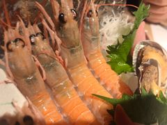 -匠和风精致料理(春熙路群光广场店)
