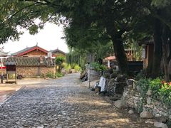 -玉湖村