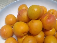 -万象汇