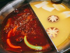 红颜花胶鸡锅底-湊湊火锅·茶憩(恒隆广场店)