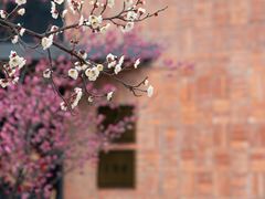 -浙江大学(紫金港校区)