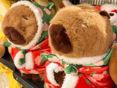 -北京华联购物中心(天通苑店)