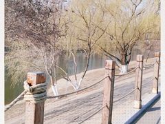 -长白岛森林公园