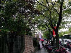 -嘉定紫藤园